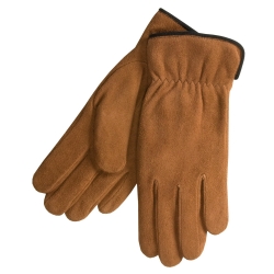 Dressing Gloves